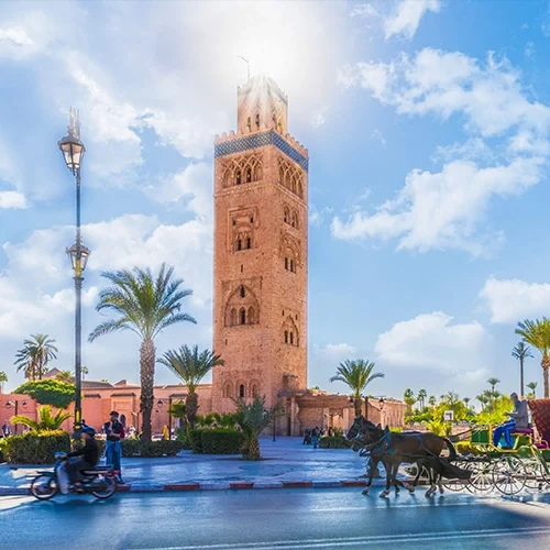 Safari Marrakech - 8-Day Tour of Morocco's Imperial Cities from Marrakech - 03