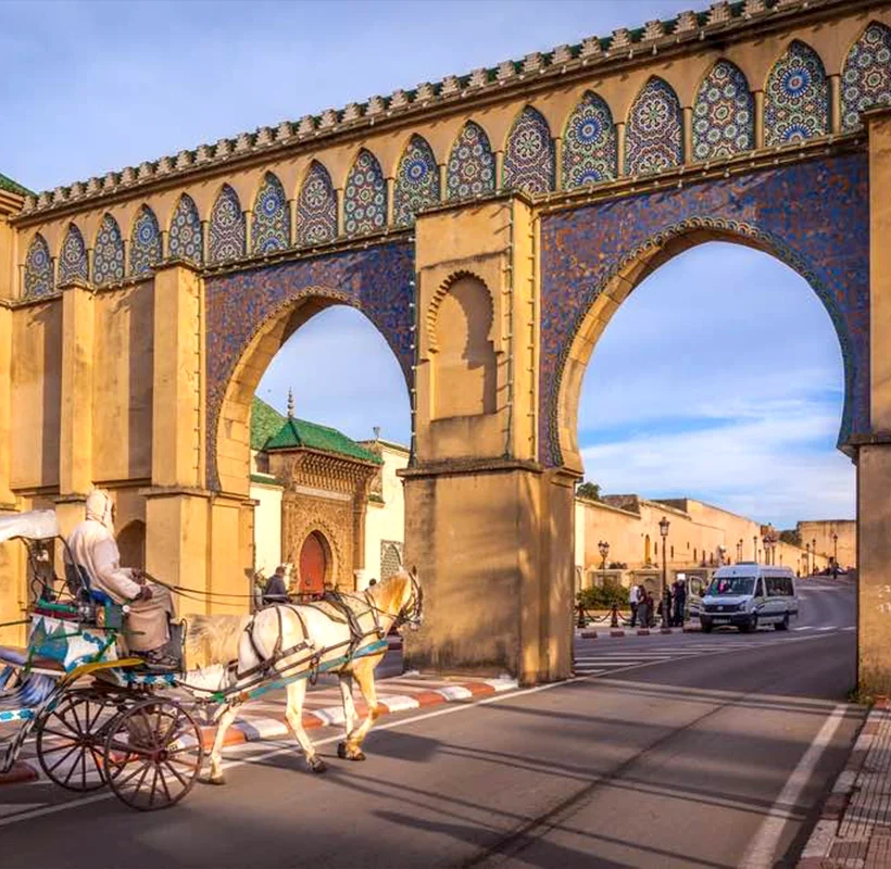 Safari Marrakech - 8-Day Tour of Morocco's Imperial Cities from Marrakech - Main