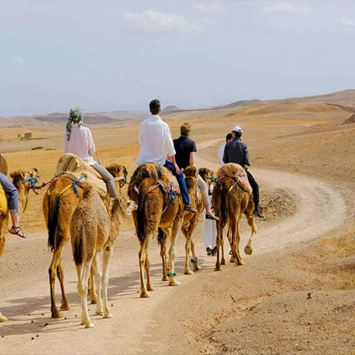 Safari Marrakech - Camel Trekking Experience in Marrakech - 03