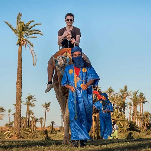 Safari Marrakech - Camel ride in Palm Grove - 04