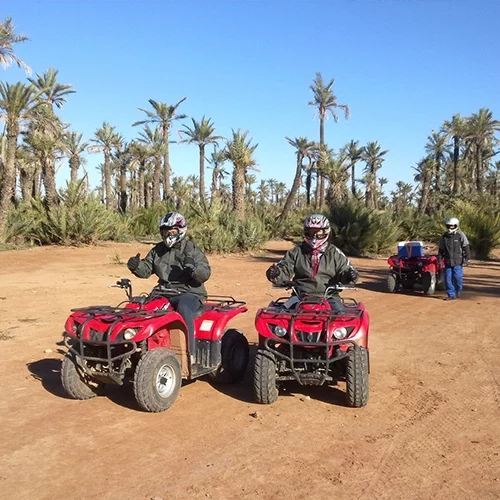 Safari Marrakech - Quad experience in Palm Grove - 03