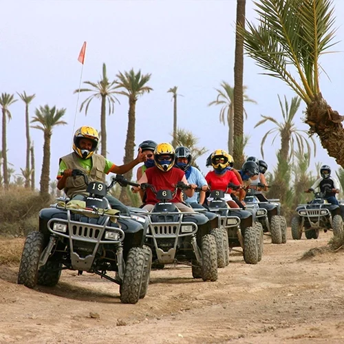 Safari Marrakech - Quad experience in Palm Grove - 04